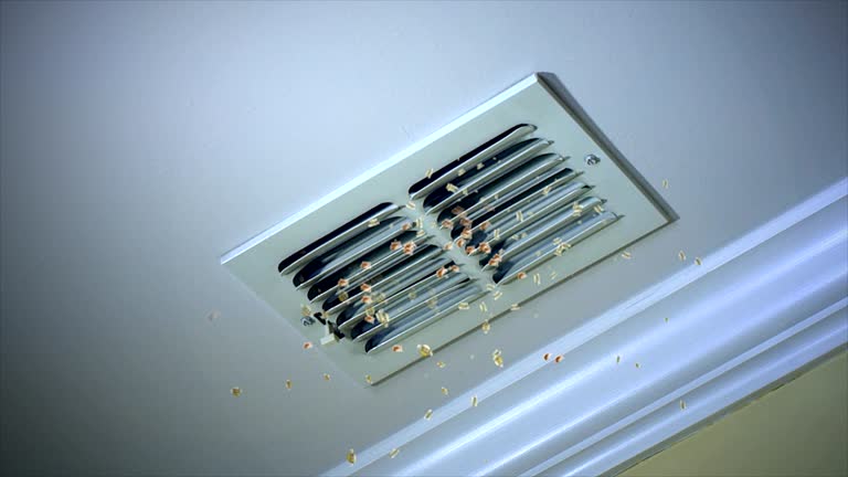 Best Local Air Duct Cleaning Services  in Mountain View, CA